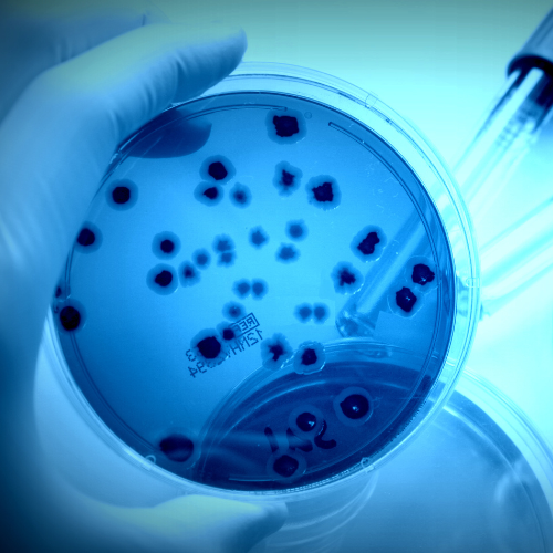 pruebas-de-microbiologia-cerca-de-mi.png