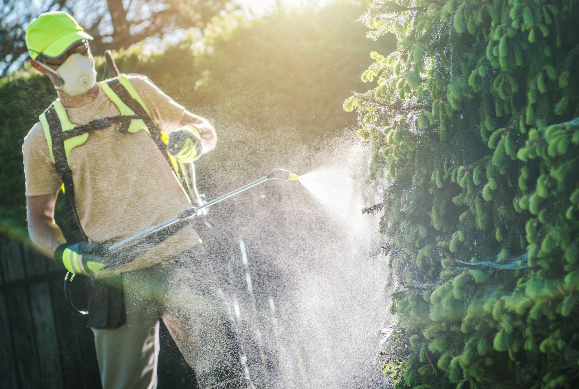 Pesticide Plants Spraying